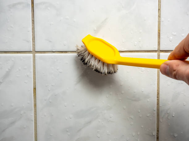 Best Black Mold Remediation in Tarpey Village, CA